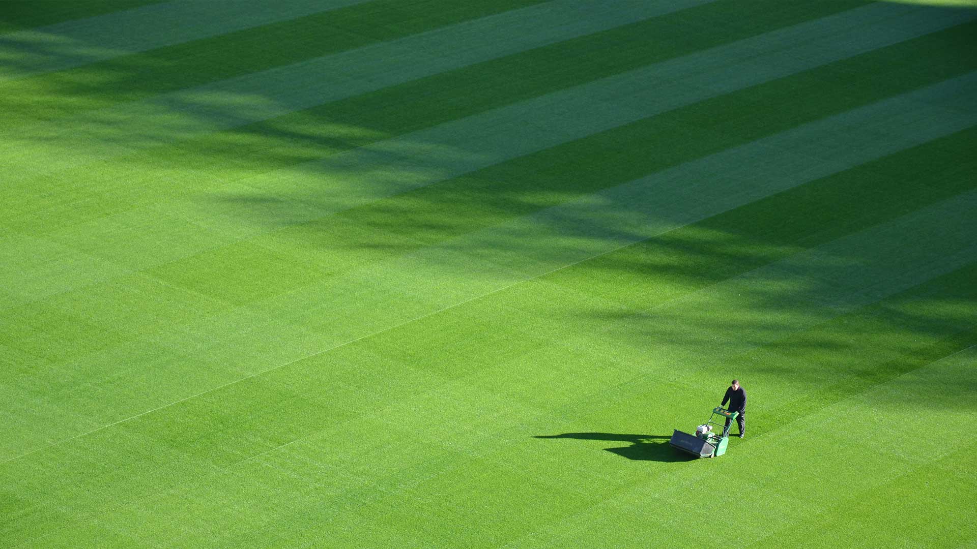 Landscape Projects